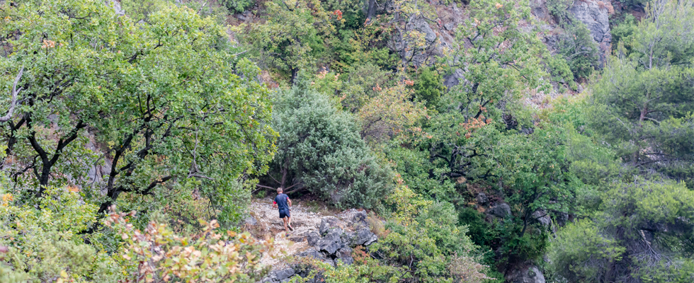 4 ème TRAIL DE TOURRETTES SUR LOUP